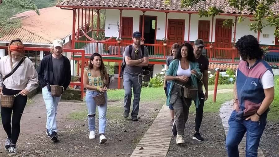 Salento and Cócora Tour + Coffee Farm from Pereira/Armenia - Should you book the Salento, Cócora, and coffee farm tour?