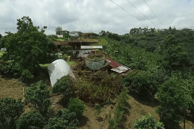 Salento and Cócora Tour plus Coffee Farm from Pereira or Armenia - Pereira or Armenia pickup: the easiest way to start