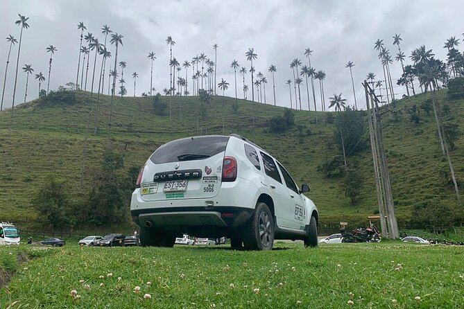 Salento and Cócora Tour plus Coffee Farm from Pereira or Armenia - Should you book this Salento and Cócora plus coffee farm tour?