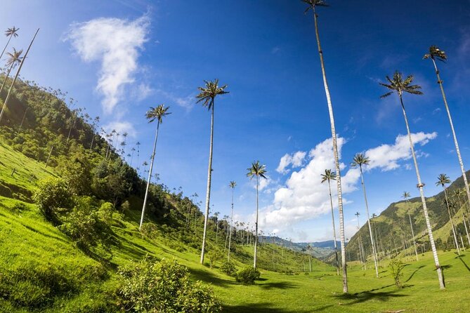 Colombia