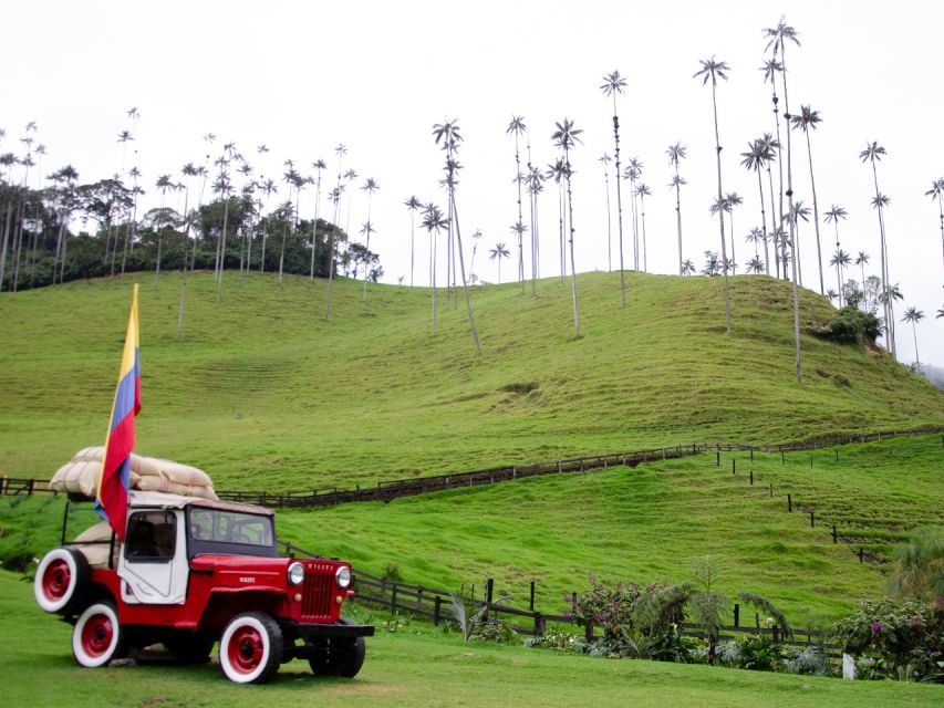 Salento, Cocora and Filandia Tour from Pereira or Armenia - Guides and drivers: the difference between a tour and an experience