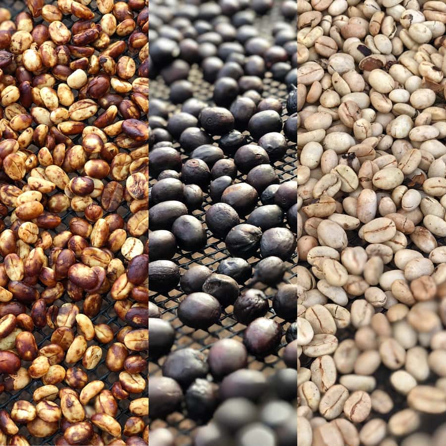 Salento: Coffee Farm Tour with Tasting - Roasting and sometimes grinding, the last mile before the cup