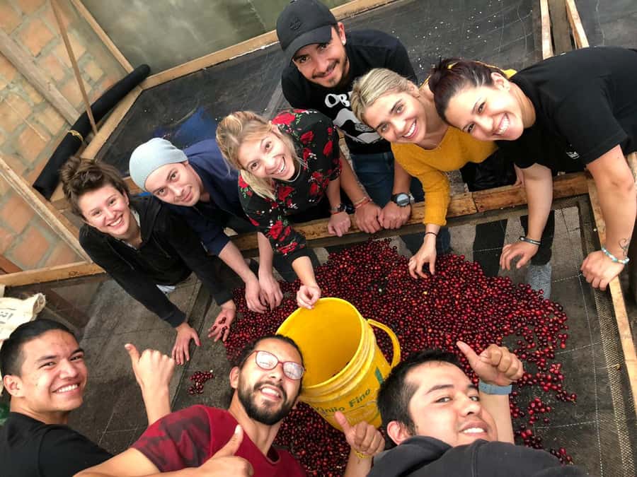 Salento: Coffee Farm Tour with Tasting - The guided farm walk that explains each phase of growing coffee