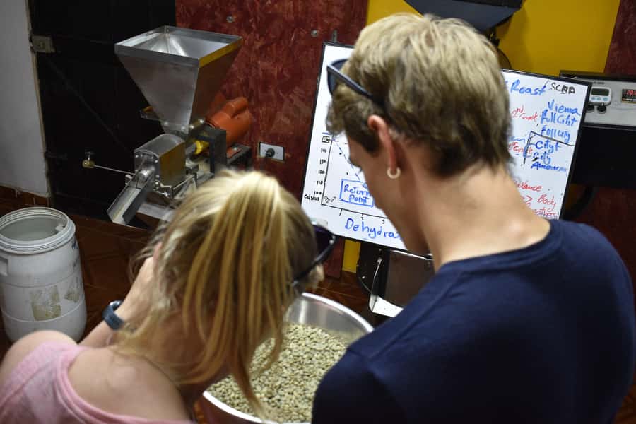 Salento: Coffee Master Roasting, Brewing and Tasting Tour - Key Points You Should Know Before You Go