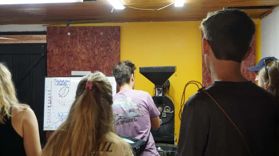 Salento: Coffee Master Roasting, Brewing and Tasting Tour - Why a 2-Hour Coffee Workshop in Tolima Works Better Than Most Tours