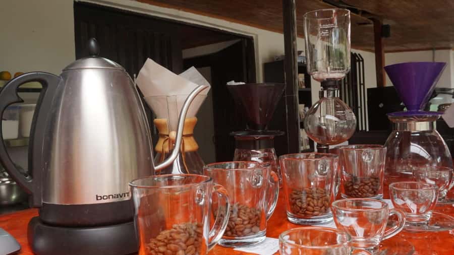 Salento: Coffee Master Roasting, Brewing and Tasting Tour - From Green Bean to Drum Roaster: The Physics You Can Taste