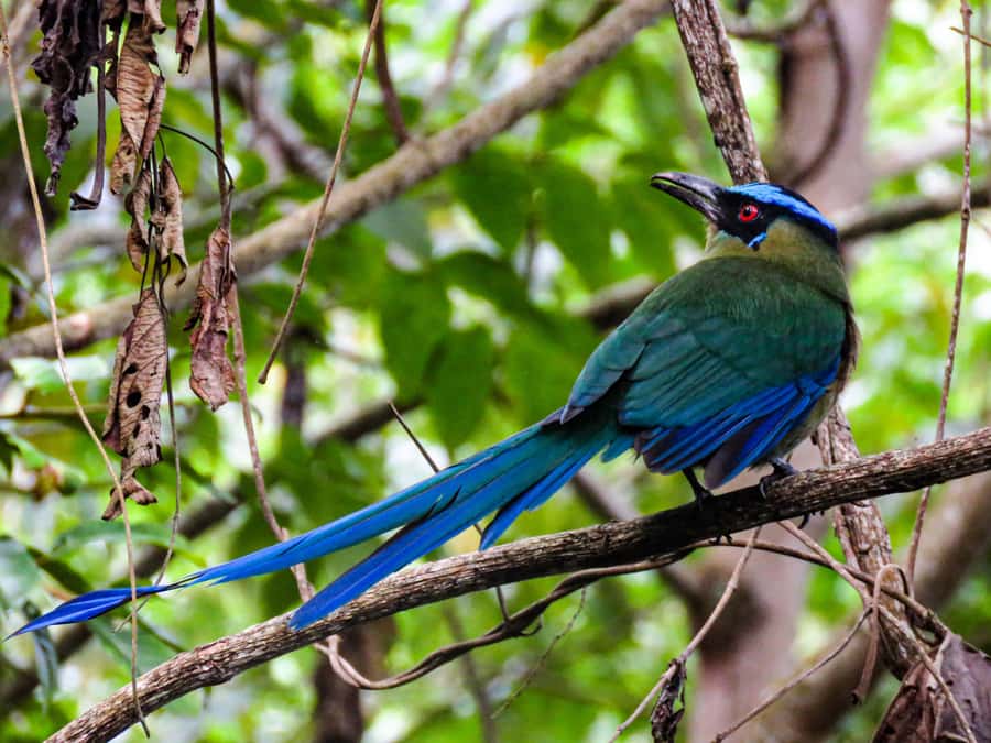 Salento: hike to learn about Birds - Meeting your guide and learning how to actually spot birds