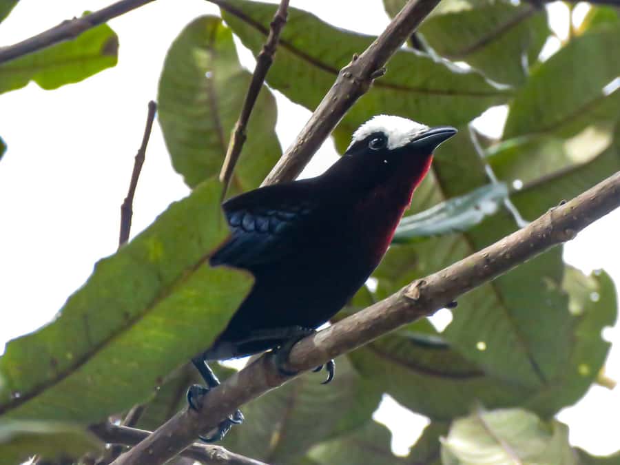 Salento: hike to learn about Birds - Binoculars, fruit, and water: the included perks that keep the morning smooth