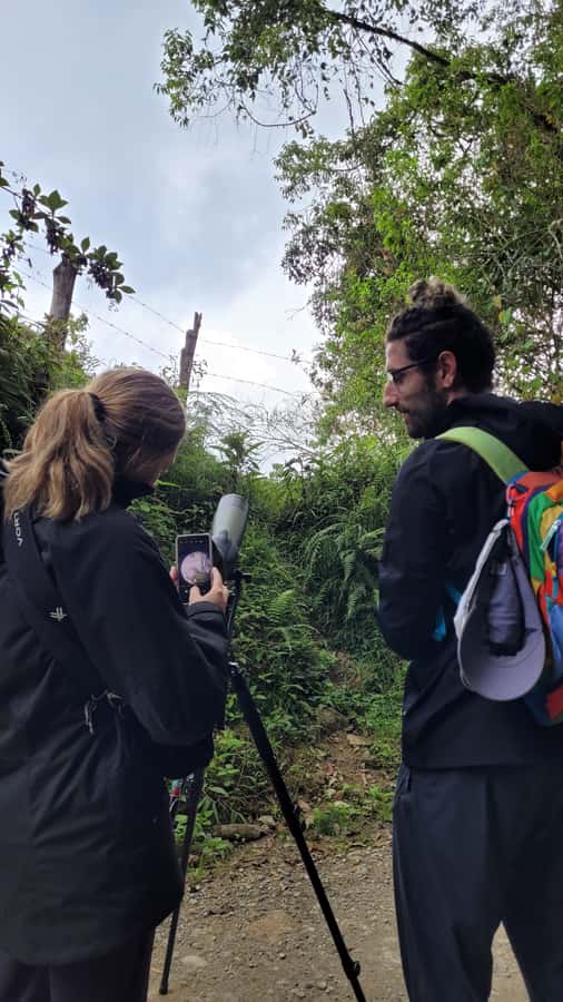 Salento: hike to learn about Birds - The 3-hour birding hike: where the coffee region birds show up