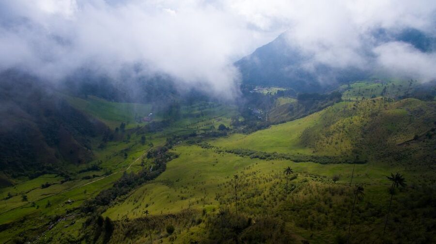 Salento/Pereira: Cocora Valley & Salento Hiking Private Tour - Who this tour is best for