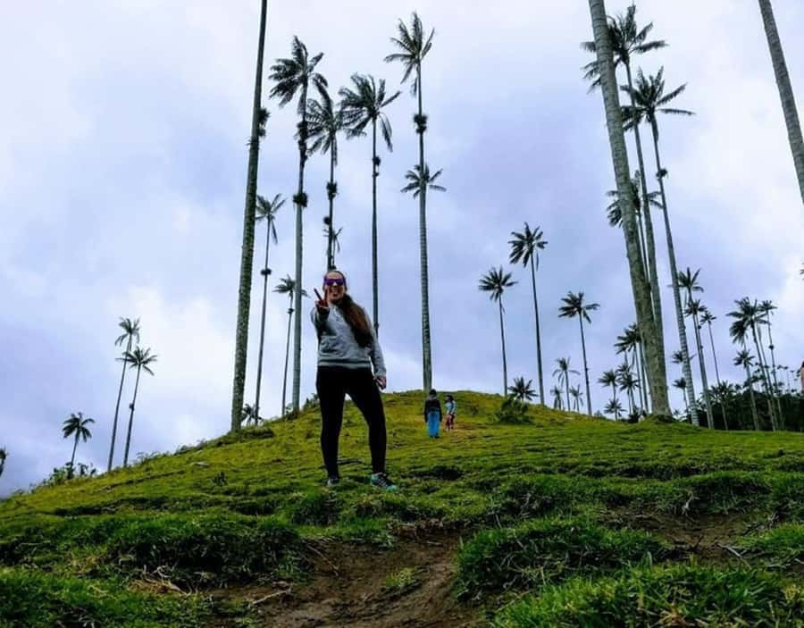 Salento/Pereira: Cocora Valley & Salento Hiking Private Tour - The 6-hour rhythm: entrance to Cocora, viewpoints, then Salento