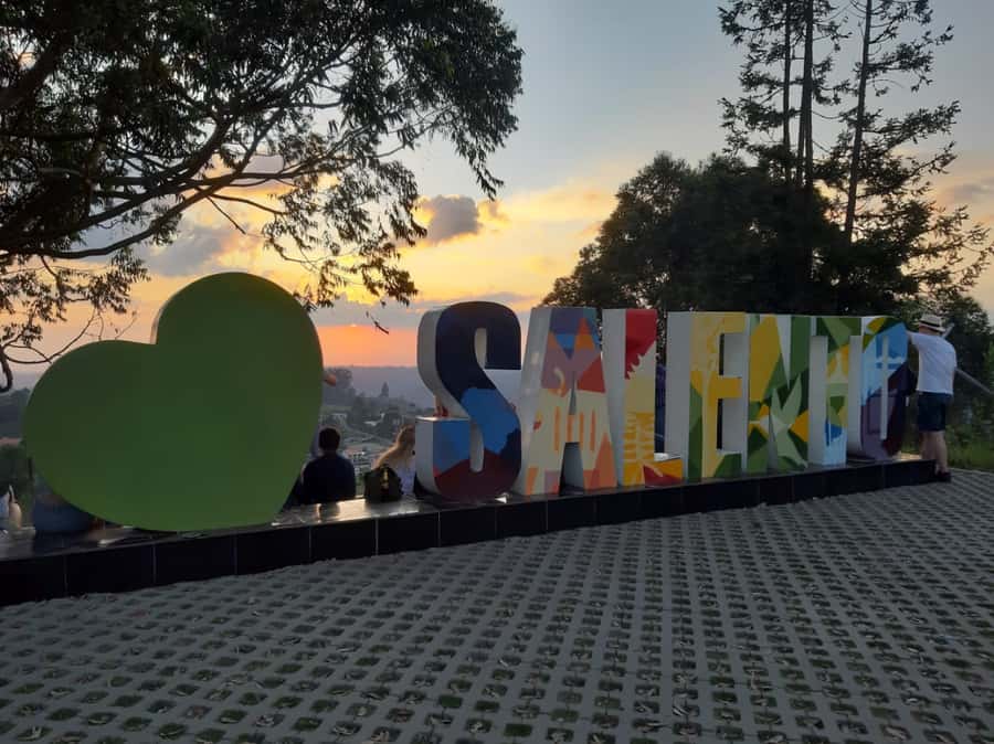 Salento: Private Cocora Valley, Salento & Coffee Farm Tour - Why Cocora Valley and Coffee Farm Works in One Long Day