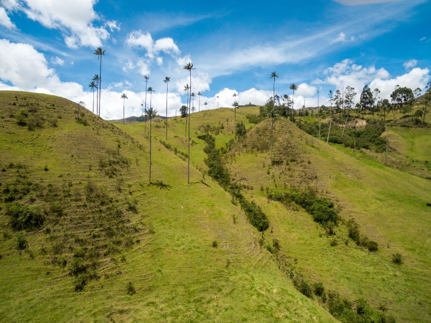Salento: Private Cocora Valley, Salento & Coffee Farm Tour - How long you’ll walk, and what to bring so your day stays fun