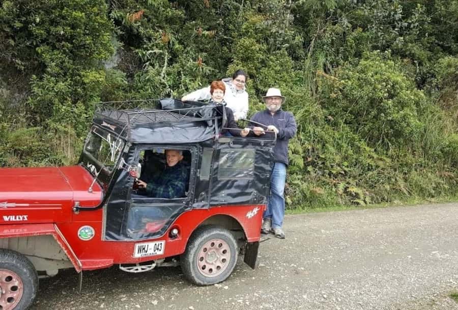 Salento: Salento & Cocora Valley Tour - Why Cocora Valley and Salento fit together so well in 6 hours