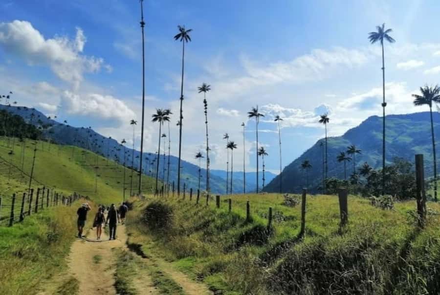 Salento: Salento & Cocora Valley Tour - Meet at Parroquia Nuestra Señora del Carmen, then settle in for jeep time
