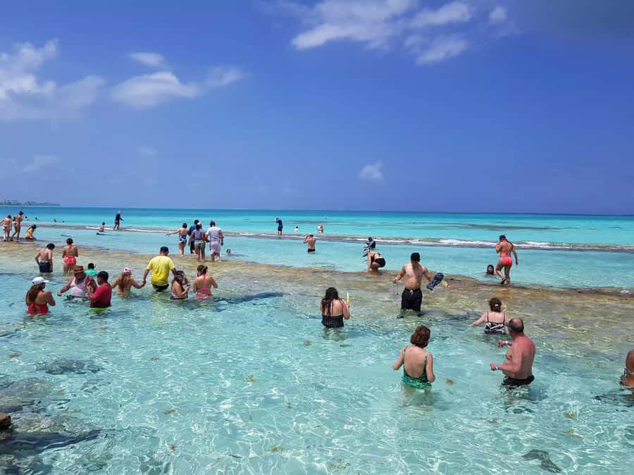 San Andres: Acuario Key Premium Tour - Old Point Mangroves: A Guided Ecosystem Walk That Adds Meaning