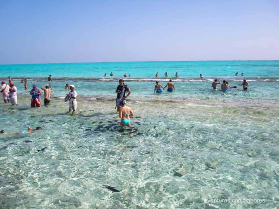 San Andres: Acuario Key Premium Tour - What to Bring (So You Enjoy It, Not Just Survive It)