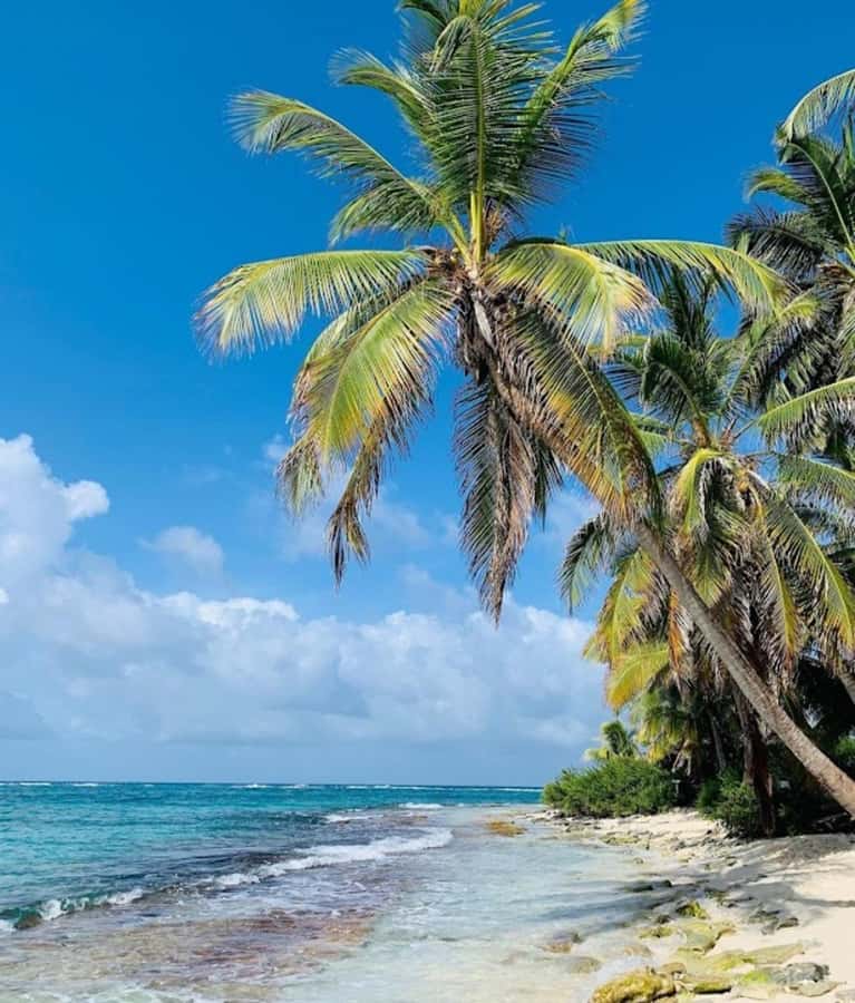 SAN ANDRES: BOAT TRANSFER + JOHNNY CAY - Key points before you go