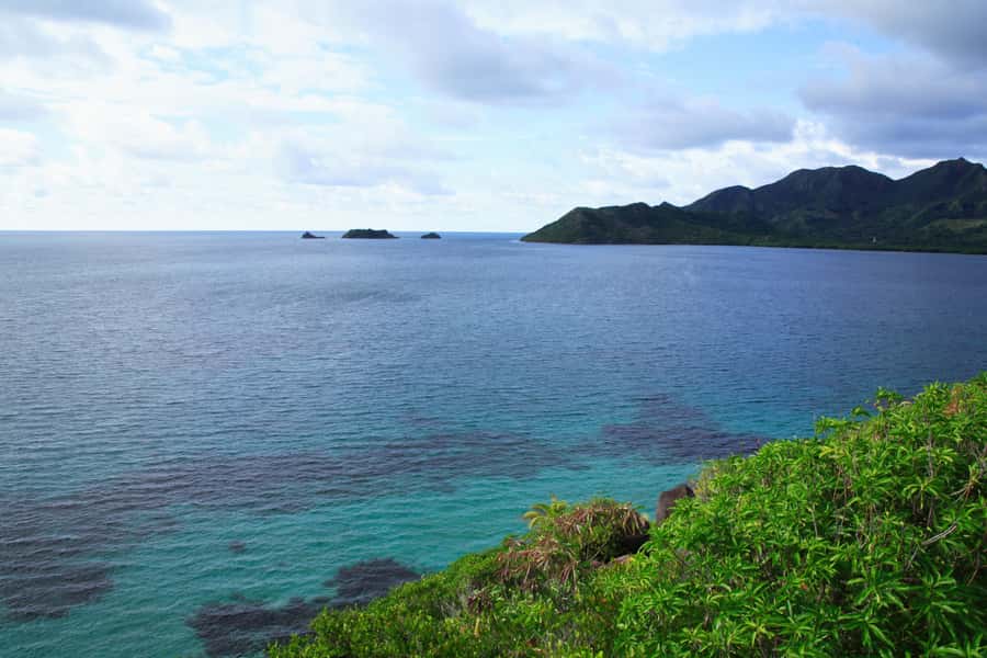 San Andrés: Guided Cays and Mangroves Tour - Johnny Cay Regional Park, the Caribbean postcard stop