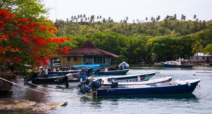 San Andrés: Guided Cays and Mangroves Tour - Who this guided cays and mangroves tour suits best