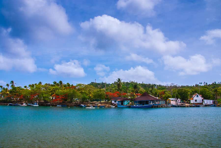 San Andrés: Guided Cays and Mangroves Tour - Rose Cay natural aquarium: snorkeling and marine life you can see up close