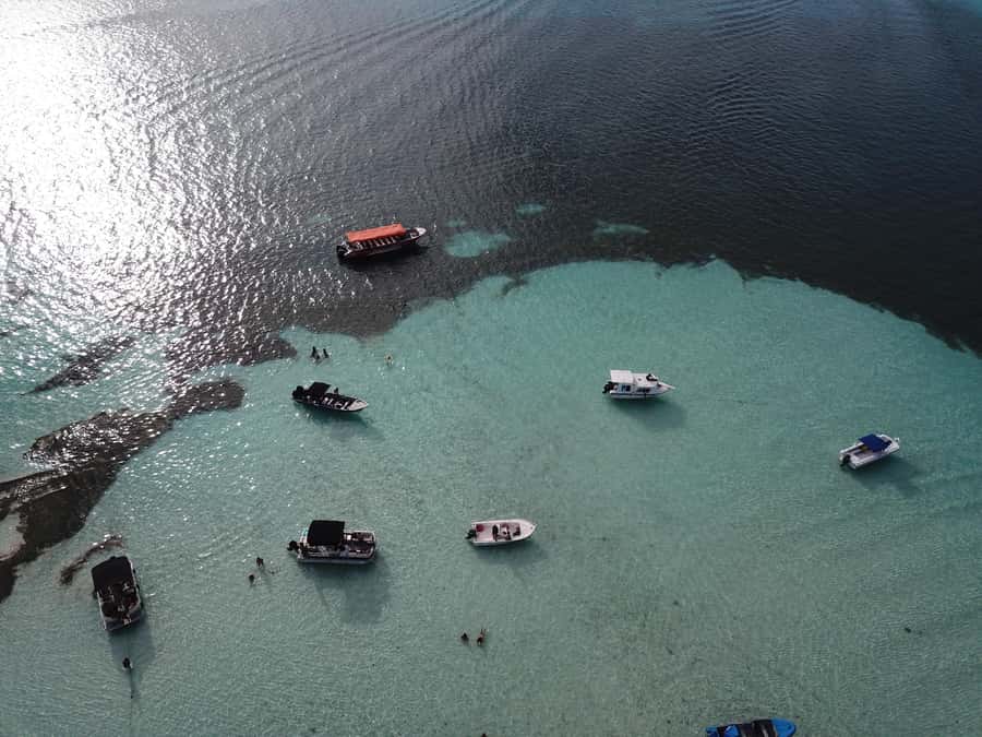San Andrés: Island Pontoon Boat Tour - Should you book this San Andrés pontoon boat tour?