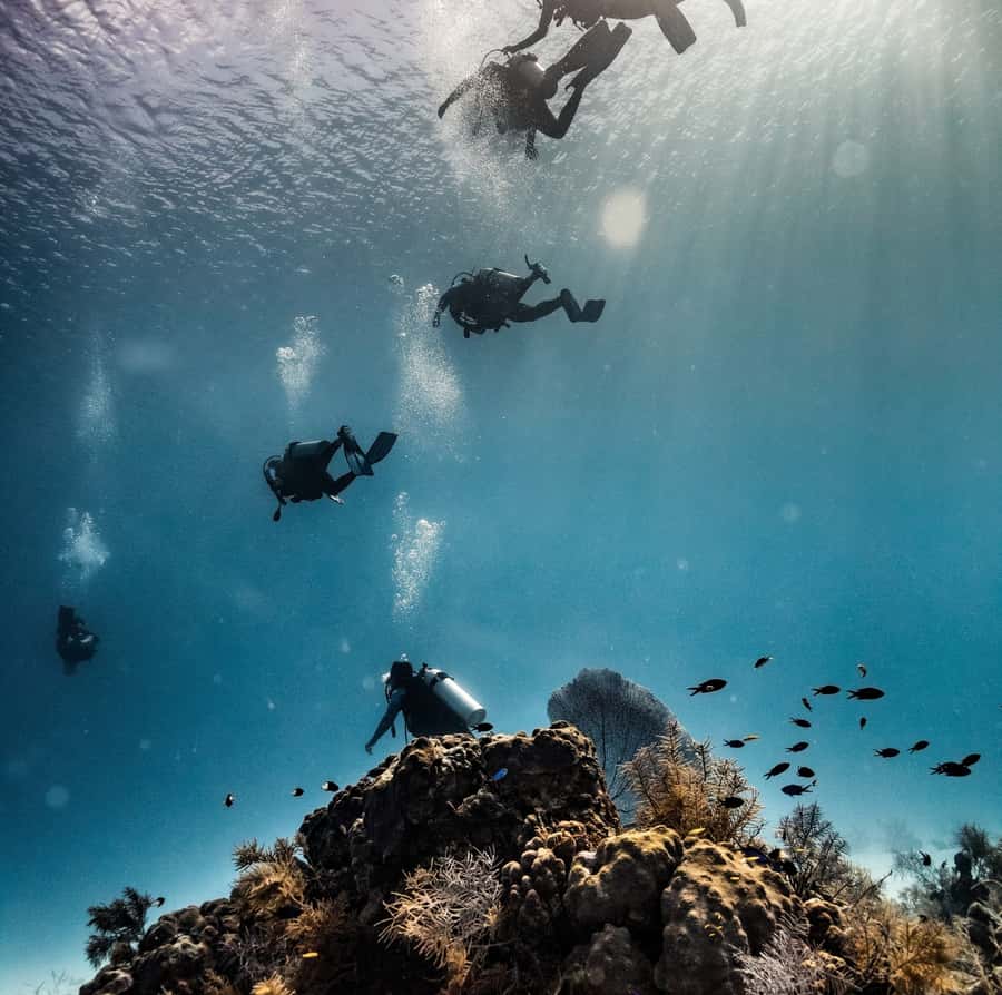 San Andres: Scuba Diving Experience with Hotel Pickup - Getting picked up around San Andrés Island