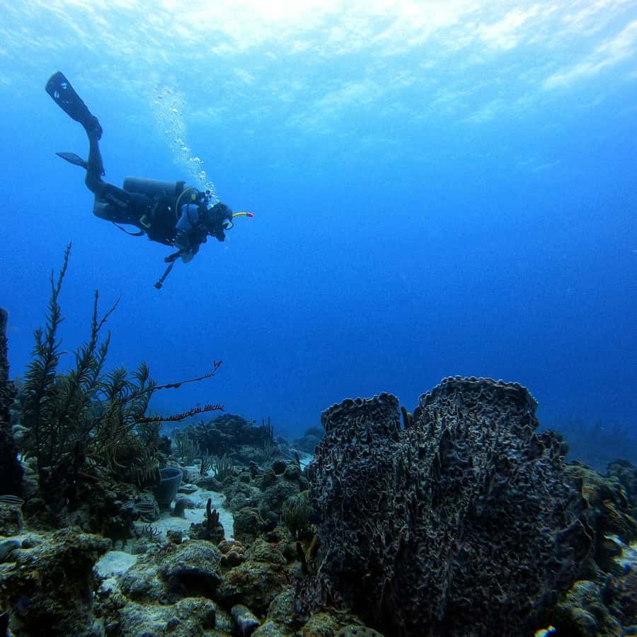 San Andres: Scuba Diving Experience with Hotel Pickup - Practice session before your first underwater descent