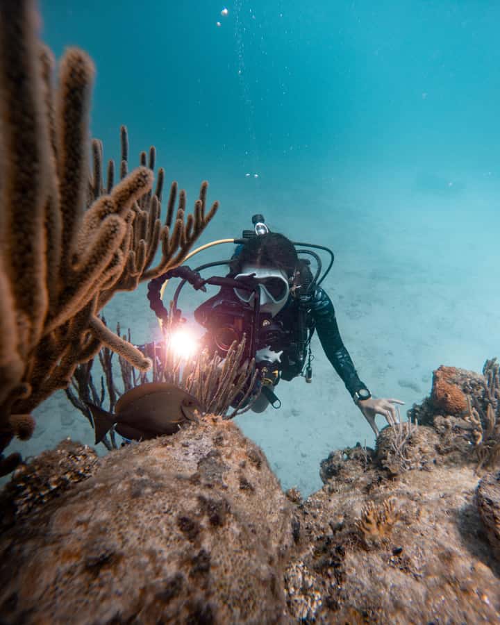 San Andres: Scuba Diving Experience with Hotel Pickup - The Big Mamá underwater stop: max 12 meters, about 50 minutes