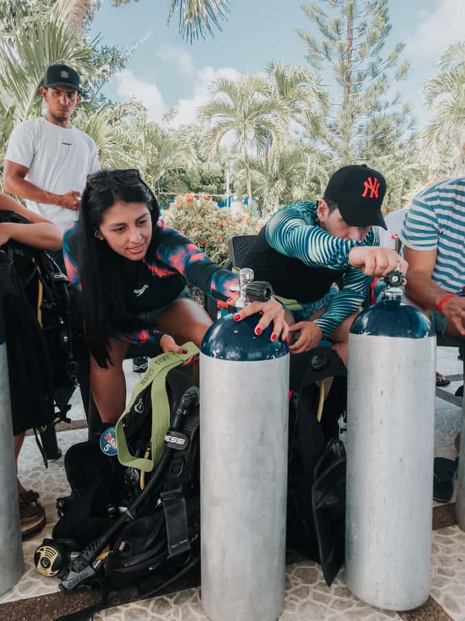 San Andres: Scuba Diving Experience with Hotel Pickup - Wildlife and the underwater museum full of statues