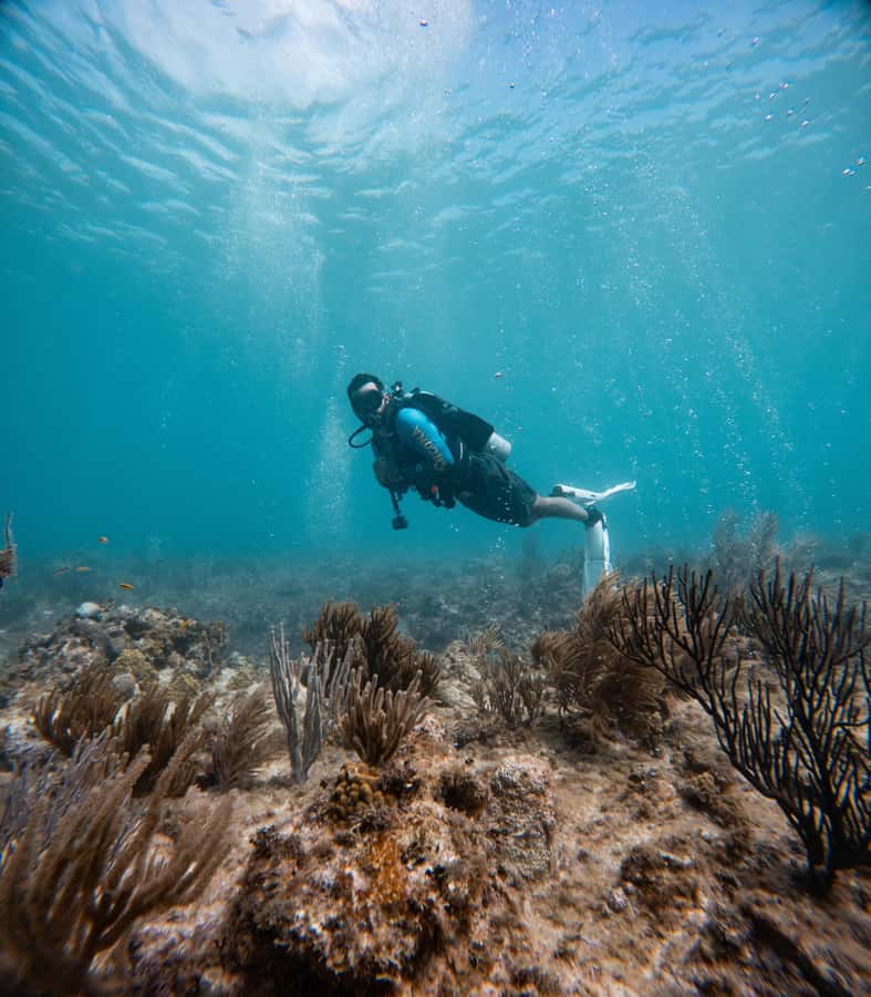 San Andres: Scuba Diving Experience with Hotel Pickup - The equipment provided, plus what you may still want to bring