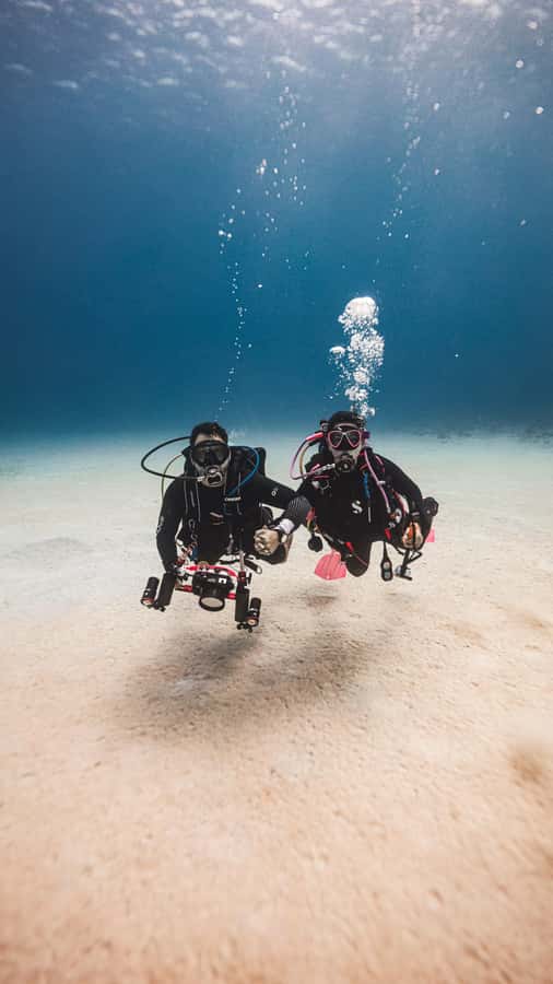 San Andres: Scuba Diving Experience with Hotel Pickup - Price and value for a 3-hour SCUBA experience