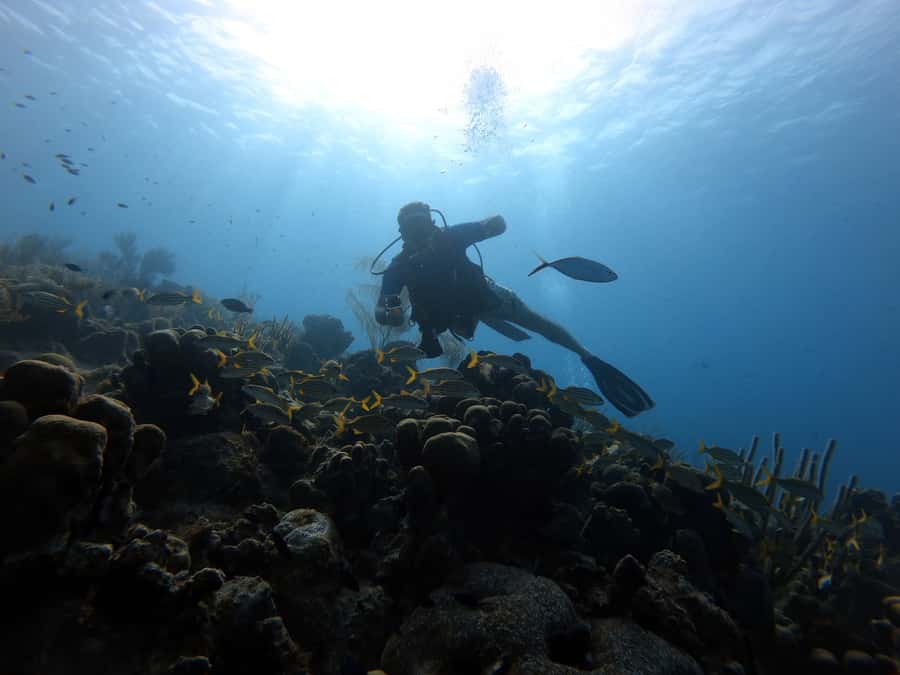 San Andres: Scuba Diving Experience with Hotel Pickup - Training at the SCUBA shop: gear, communication, and rules