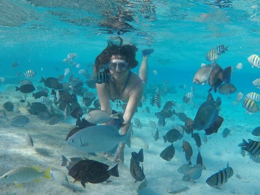 San Andres: Transfer by Boat + Natural Aquarium - Seven-Color Water at the Natural Aquarium Key