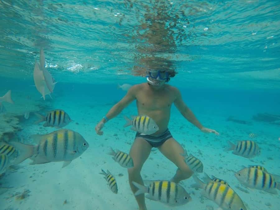 San Andres: Transfer by Boat + Natural Aquarium - What’s Included, What’s Not, and Why It Changes Your Budget