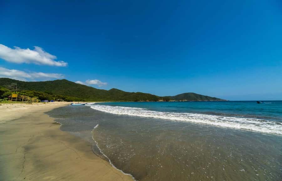 Santa Marta and Tayrona Park Day Trip - Getting moving: early departure, light breakfast, and a short conservation talk
