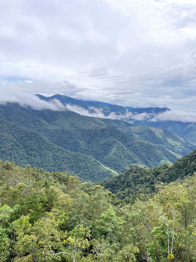 Santa Marta: Minca Coffee, Cocoa, & Waterfall Full-Day Trip - Lunch at the bamboo restaurant: a real break, not a rush