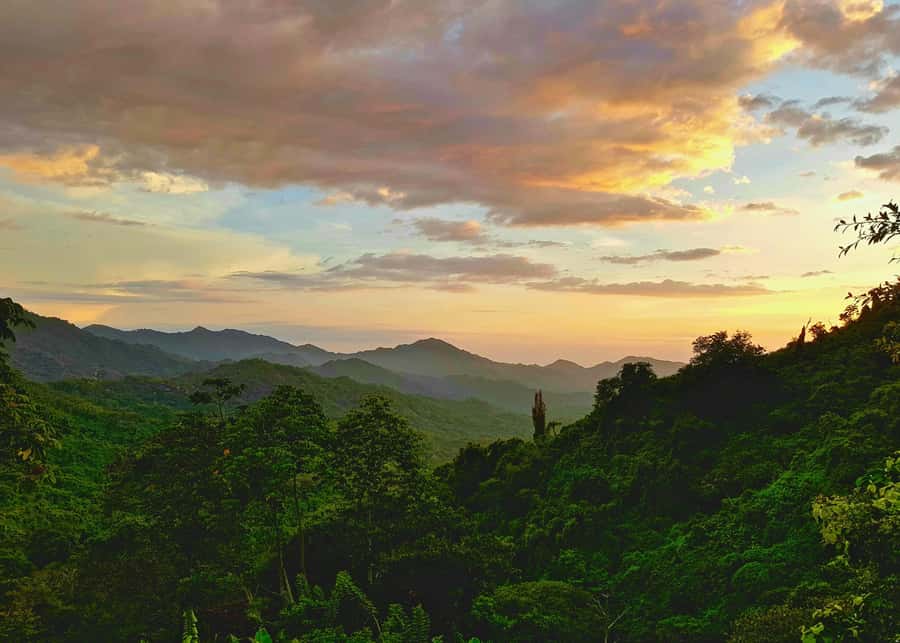Santa Marta: Minca Coffee, Cocoa, & Waterfall Full-Day Trip - Price and value: is $78 worth it?