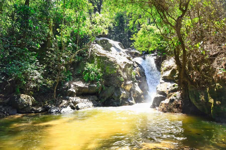 Santa Marta: Minca Coffee, Cocoa, & Waterfall Full-Day Trip - Who should book (and who should skip)