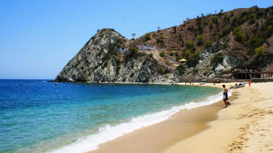 Santa Marta: Museum of the Sea and Playa Blanca Beach Tour - The Live Dolphin Show: How to Make It Worth It