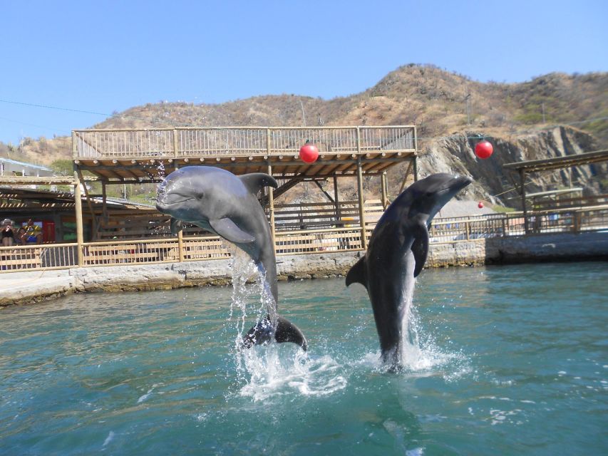 Santa Marta: Museum of the Sea and Playa Blanca Beach Tour - What to Bring: Your Small List for a Smooth Beach Day