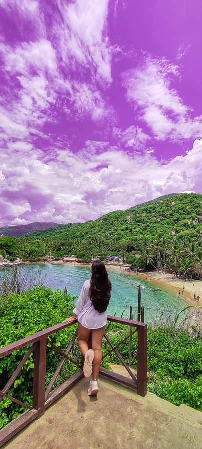 Santa Marta: Playa Cristal in Tayrona Parque Day Tour - From Santa Marta to Tayrona, what makes this day work