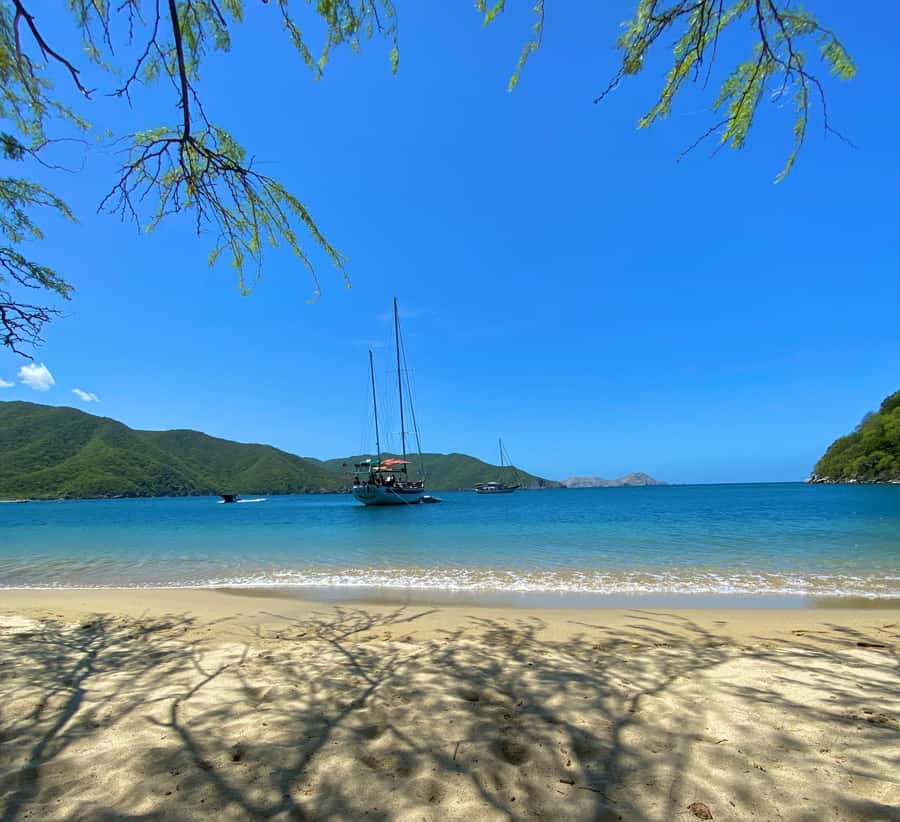 Santa Marta: Sailboat day tour to Tayrona Park - Bahía Concha in Tayrona Park: what you actually do once anchored