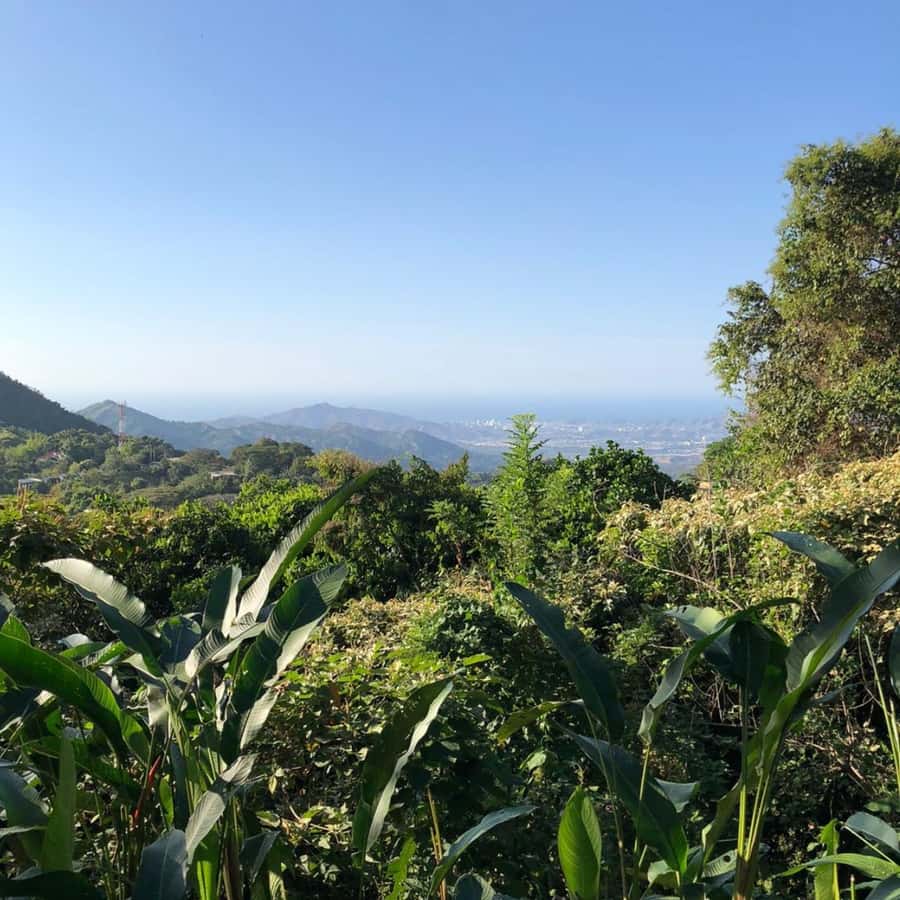 Santa Marta: Trekking in Minca Complete Waterfall Circuit - Price and value: what you are paying for at about $49