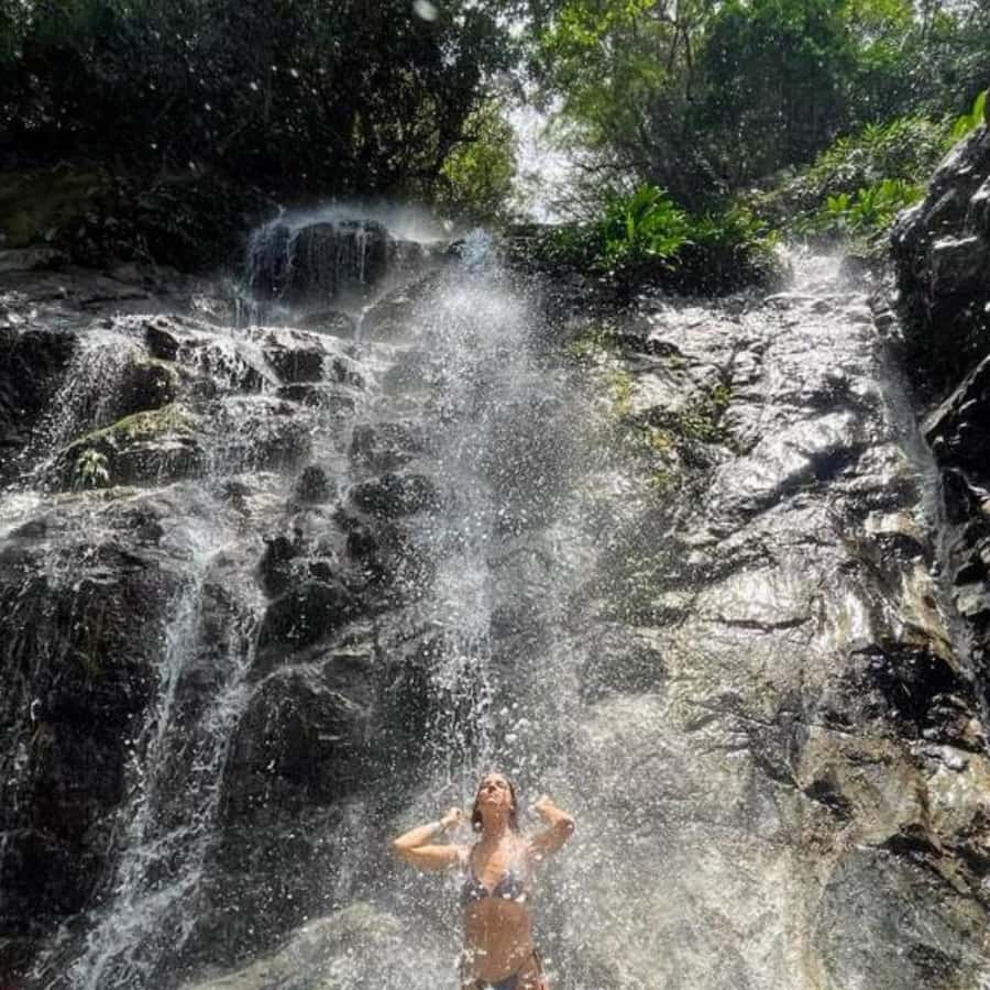 Santa Marta: Trekking in Minca Complete Waterfall Circuit - Minca’s waterfall hike, with coffee and cacao history in the background
