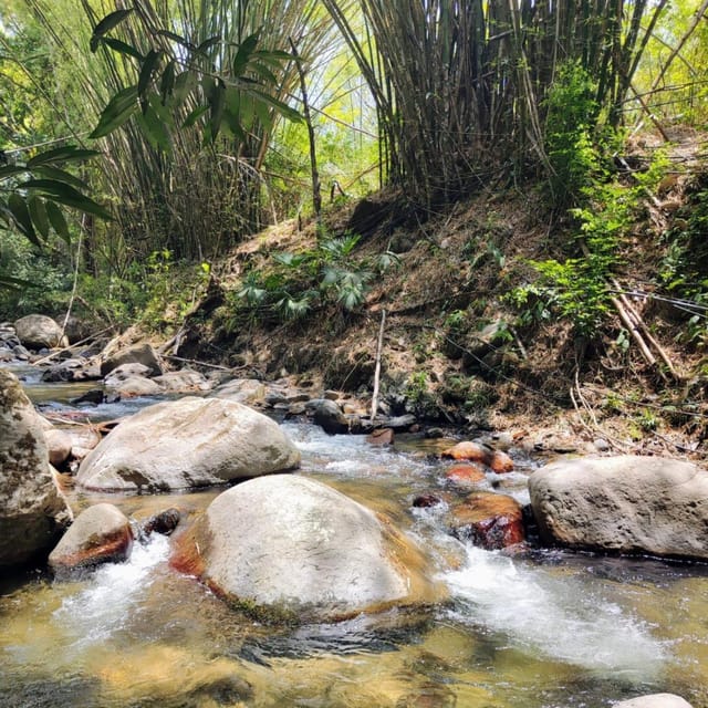Santa Marta: Trekking in Minca Complete Waterfall Circuit - Oído del Mundo waterfall: the photo stop that can turn into a longer moment