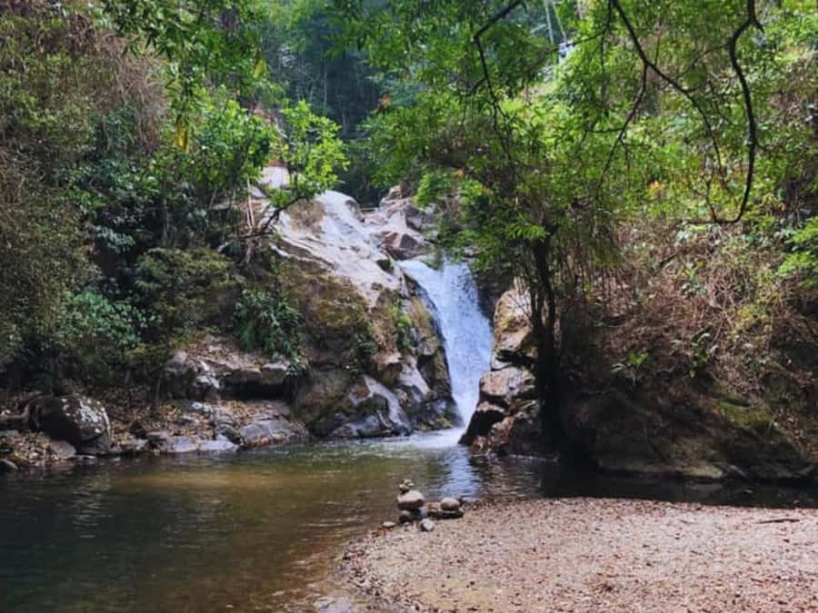 Santa Marta: Trekking in Minca Complete Waterfall Circuit - Plan B in Minca: why your guide’s flexibility matters