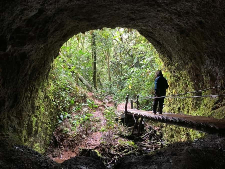 Santa Rita Waterfall and Salento Private Tour - The Santa Rita Waterfall Stop (Around 20 Meters)