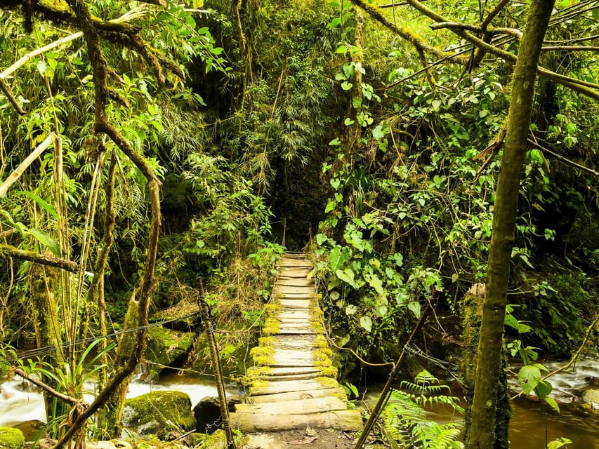 Santa Rita Waterfall and Salento Private Tour - Learning the Coffee Triangle While You Walk