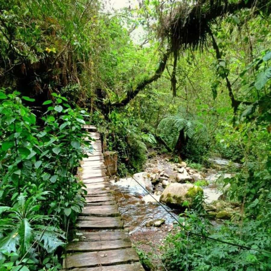 Santa Rita Waterfall and Salento Private Tour - The Guides Matter: What You Can Expect from the Human Side